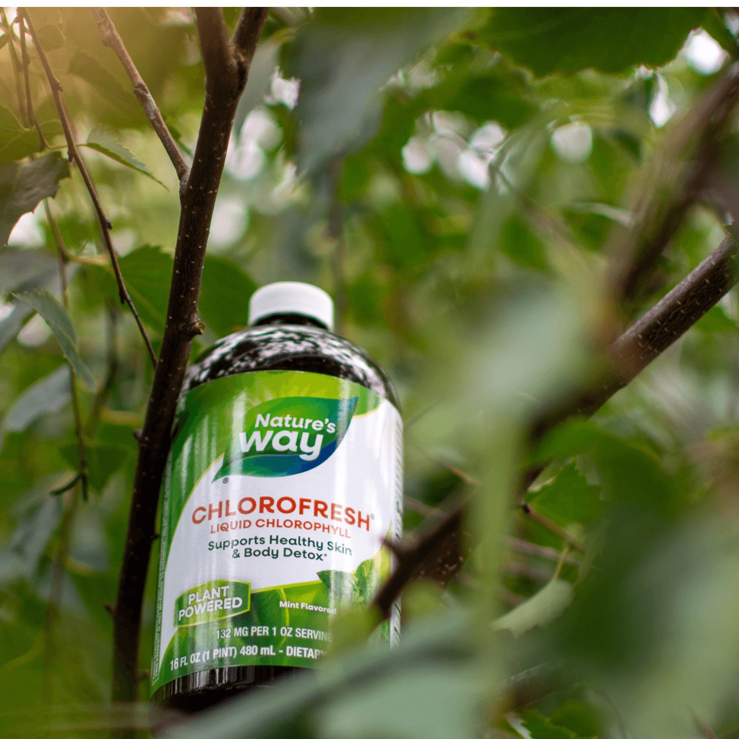 Nature's Way Wellness 3